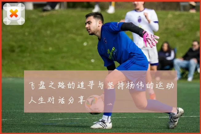 飞盘之路的追寻与坚持杨伟的运动人生对话分享