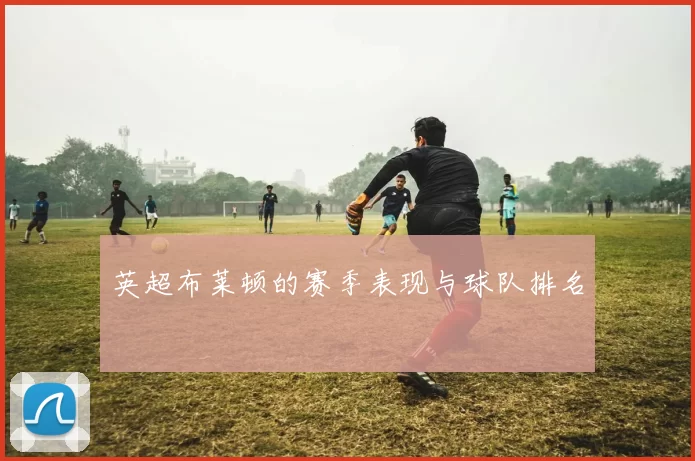 英超布莱顿的赛季表现与球队排名