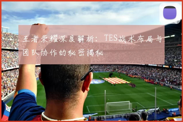 王者荣耀深度解析：TES战术布局与团队协作的秘密揭秘