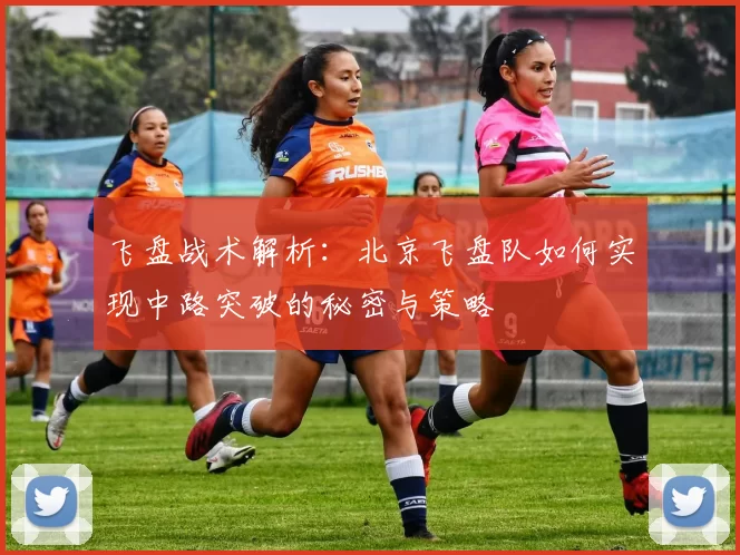 飞盘战术解析：北京飞盘队如何实现中路突破的秘密与策略