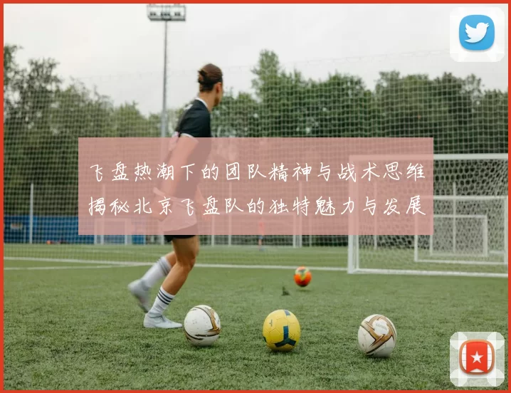 飞盘热潮下的团队精神与战术思维揭秘北京飞盘队的独特魅力与发展之路