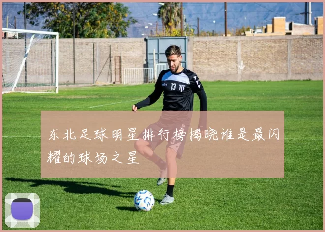 东北足球明星排行榜揭晓谁是最闪耀的球场之星