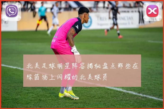 北美足球明星阵容揭秘盘点那些在绿茵场上闪耀的北美球员