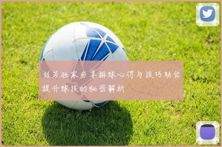 刘芳独家分享排球心得与技巧助你提升球技的秘密解析