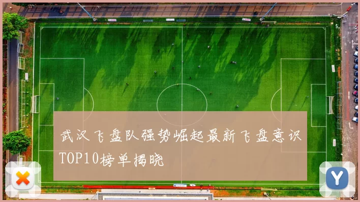 武汉飞盘队强势崛起最新飞盘意识TOP10榜单揭晓