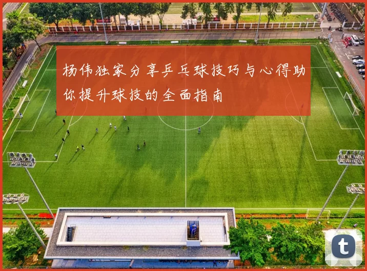杨伟独家分享乒乓球技巧与心得助你提升球技的全面指南