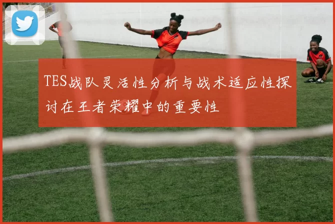 TES战队灵活性分析与战术适应性探讨在王者荣耀中的重要性